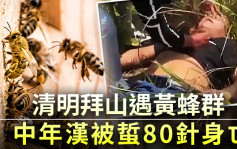 清明拜山遇黃蜂群 中年漢被蜇80針身亡