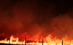 【有片】内蒙中俄边境大火 　火场面积约5000公顷