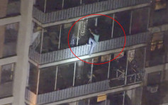 费城大厦火警 男子为探母化身蜘蛛侠徒手爬15层楼