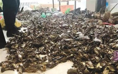 哈爾濱特產店發現逾7000野生動物死屍 兩人被捕