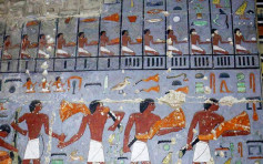 埃及出土2000年前貴族古墓 內藏老鼠木乃伊