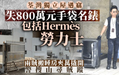 荃湾独立屋遭爆失Hermès劳力士800万手袋名表 警今搜山寻贼踪