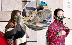 無業婦深水埗偷貓被捕後求貓主撤控 兩罪成判囚一個月兩星期