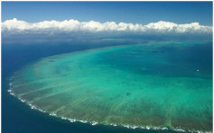 澳洲大堡礁白化加劇　科學家籲減排溫室氣體