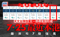 颱風泰利︱下周又打風？天文台預告又一熱帶氣旋形成  下周二最近香港