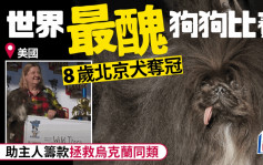 最醜狗狗比賽｜8歲北京犬奪冠  助主人籌款拯救烏克蘭同類