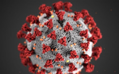 美研究指新冠病毒2月已发生变异 新毒株传染力更强