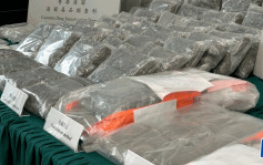 泰國寵物食品藏大麻花海運來港 海關檢市值770萬元貨拘收貨司機
