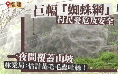 福建山坡被「蜘蛛网」覆盖吓亲村民  林业局：料毛毛虫吐丝危害不大︱有片