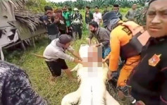 印尼8岁童遭鳄鱼生吞 翌日捕捉鳄鱼剖腹见全尸