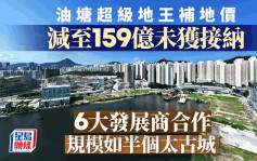 油塘超级地王补地价 减至159亿未获接纳 6大发展商合作 规模如半个太古城