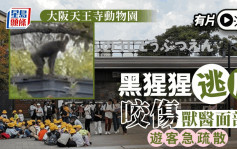 有片 | 大阪動物園緊急疏散遊客捉拿「走甩」黑猩猩