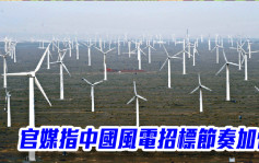 官媒指中国风电招标节奏加快 行业增量市场多元化