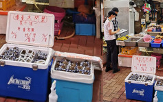 荃湾两杂货店卖无牌大闸蟹  食环署销毁20公斤货