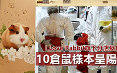 第5波疫情｜I Love Rabbit旗下分店倉庫10倉鼠樣本呈陽性 34環境樣本現毒蹤