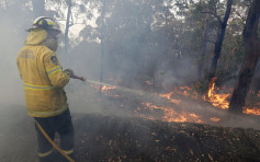 澳州东部山火消防束手无策 料下月降雨才能救熄