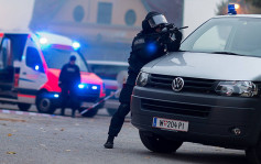 维也纳破恐袭阴谋拘18岁伊斯兰激进分子