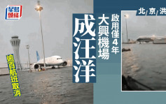 北京洪水│启用仅4年大兴机场变泽国   网民：两天下了一年的雨南方也扛不住