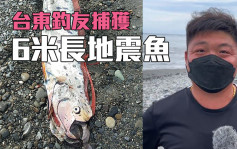 台湾钓友捕获罕见巨型地震鱼 长约6米重130公斤