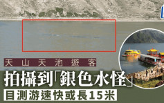 游客在新疆天山天池目击「银色水怪」  「感觉可能有15米长」