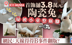 K11 MUSEA首饰店3.8万元陶瓷兔遭小童弄断脚 网民：天线得得B事件翻版