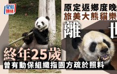 旅美大熊猫乐乐离世 终年25岁