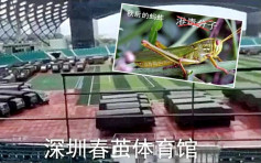 【逃犯条例】指蝗虫「秋天绝迹」 解放军：深圳赴港只需10分钟 