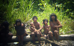 巴西亚马逊森林原住民确诊 专家忧85万原住民受影响