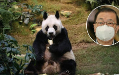 安安离世｜谭耀宗：相信中央愿意再向香港赠送大熊猫