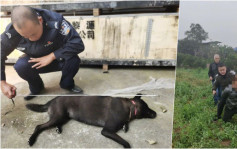 涉毒鏢射殺農戶狗隻加工出售 警拘4四川漢檢逾500公斤懷疑狗肉