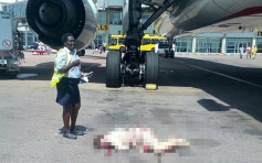 阿聯酋空姐疑自殺 開緊急艙門跳下墮地重傷不治