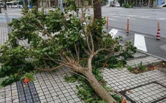 【遊日注意】派比安襲沖繩暴風大雨 港航國泰航班受影響