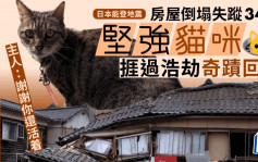日本能登地震︱小猫失踪34日奇迹回家  主人：谢谢你还活著