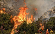 洛杉矶历来最大山火 逾700户疏散