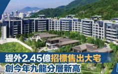 緹外2.45億招標售出大宅 創今年九龍分層新高