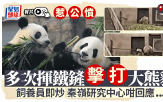 大熊猫惨遭铁铲击打惹公愤   西安饲养员被辞退︱有片
