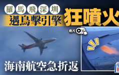 海南航空︱羅馬至深圳航班遇鳥擊 機翼噴火舌緊急折返︱有片