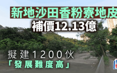 新地沙田香粉寮地皮补价12.13亿 拟建1200伙「发展难度高」