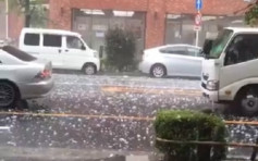 【有片】东京天降馒头大冰雹　打穿玻璃击中居民　