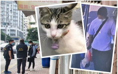 深水埗偷猫仔案 警锁定疑犯居界限街登楼搜查