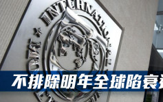 IMF總裁：不能排除明年全球經濟陷衰退