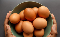 【健康talk】1歲前不宜食蛋白？營養師教正確食蛋指引