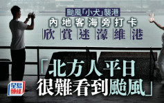 台风小犬︱尖沙咀码头直撃：有市民坚持雨中跑步 游客观赏台风下的维港