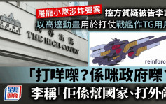 屠龍小隊案│控方質疑被告李家田以高達動畫中用於打仗的戰艦作TG用戶名「打咩㗎？係咪政府㗎」 李稱「佢係幫國家、打外敵」