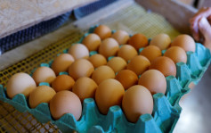 中国农大研究：每周摄入鸡蛋超6个  死亡率增加35％
