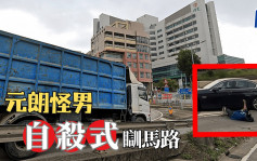 有片│元朗男子「自殺式」臥青山公路  網民：馬路奇景