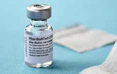 新一批約19萬劑復必泰疫苗付運抵港