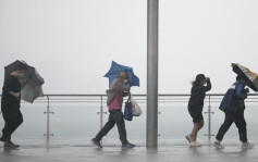 天文台︱骤雨正逐渐影响珠江口一带  今明雨势有时颇大及有狂风雷暴（附九天天气预报）