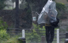 軒嵐諾吹襲沖繩 石垣市宮古島市逾3000戶居民停電