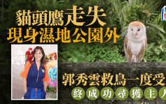 香港濕地公園外現走失貓頭鷹 郭秀雲救鳥一度受阻 終成功尋獲主人